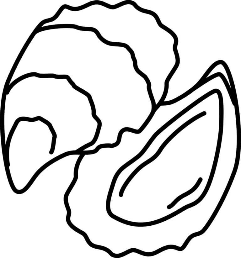 Double Seashell With Stripes coloring page