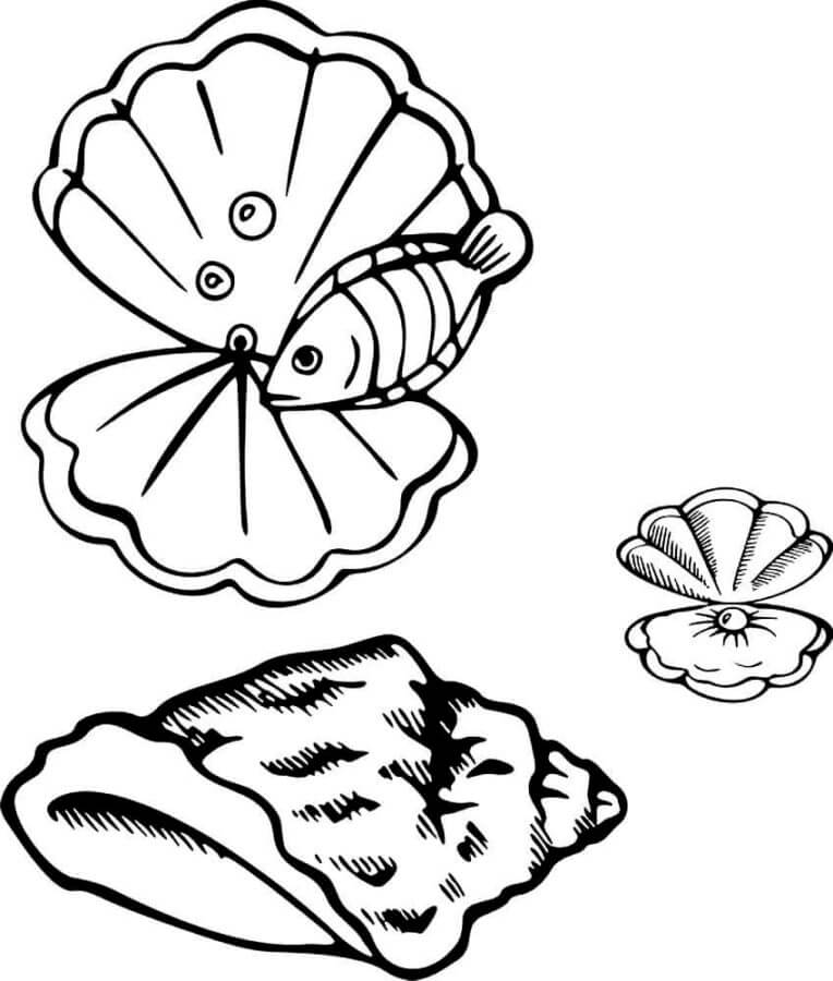 Fish And Seashells coloring page