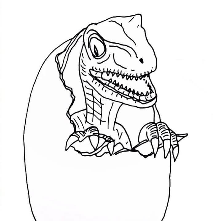 Funny Baby Velociraptor coloring page