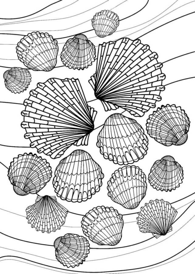 Lots of Black Seashells coloring page