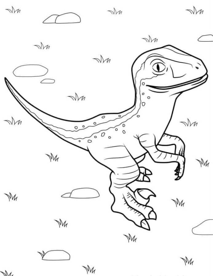 Lovely Velociraptor coloring page