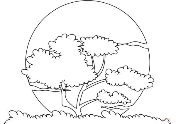 Magic Ball At Sunset coloring page