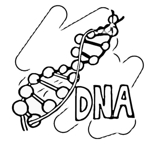 Main Chemical Element coloring page