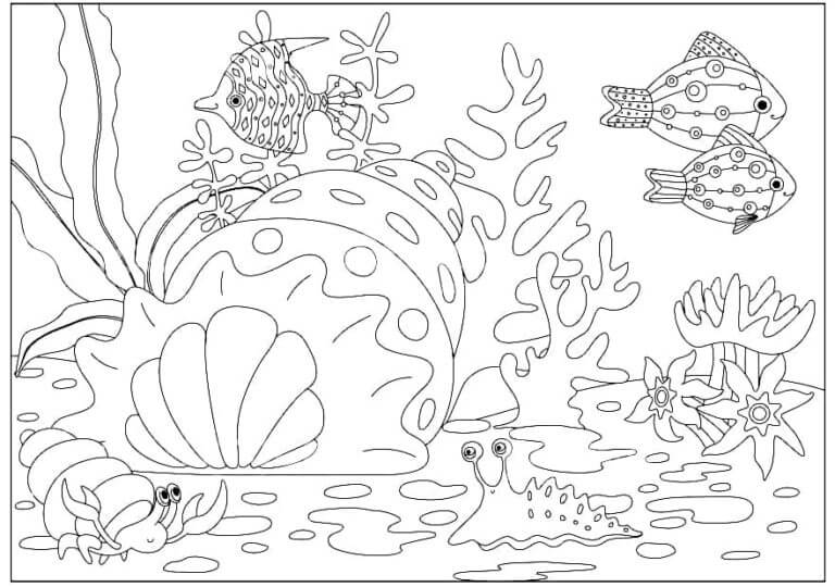 Seashell And Marine Life coloring page