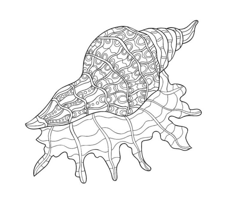 Seashell Free Pictures coloring page