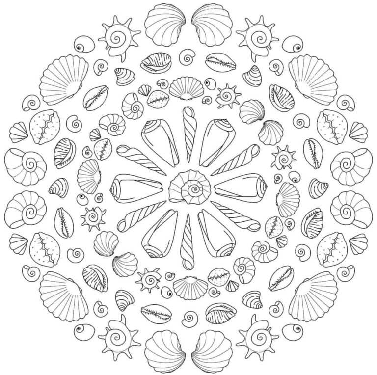 Seashell Varieties coloring page