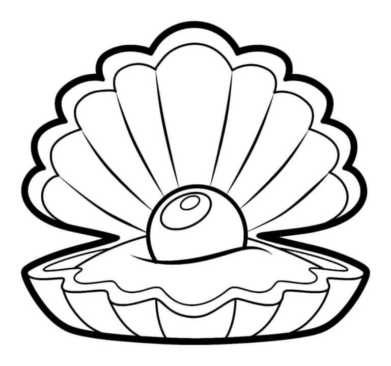 Seashell With Pearls coloring page