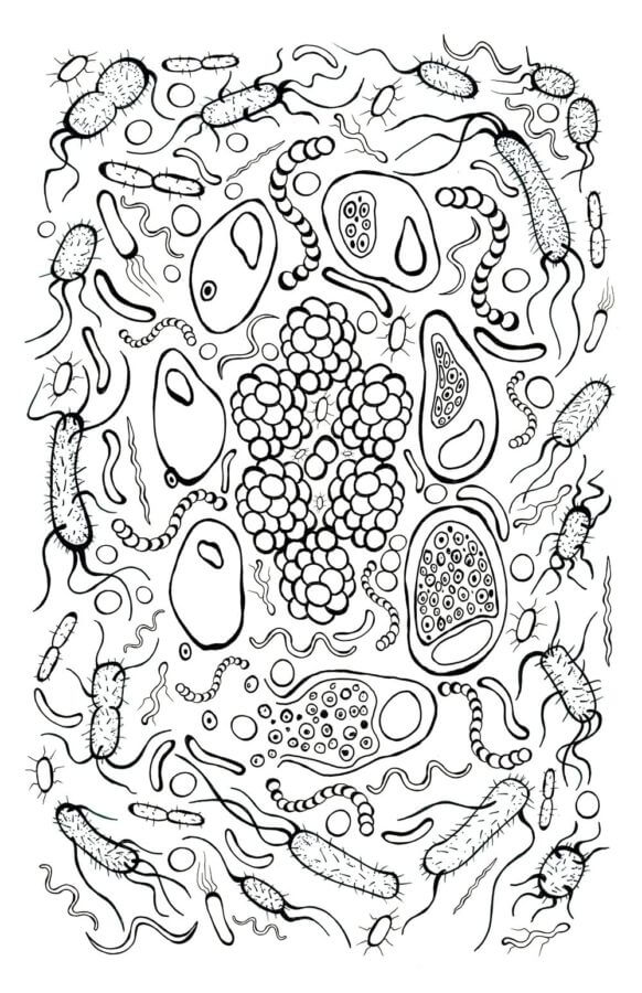 The Simplest Microbes Under a Microscope coloring page