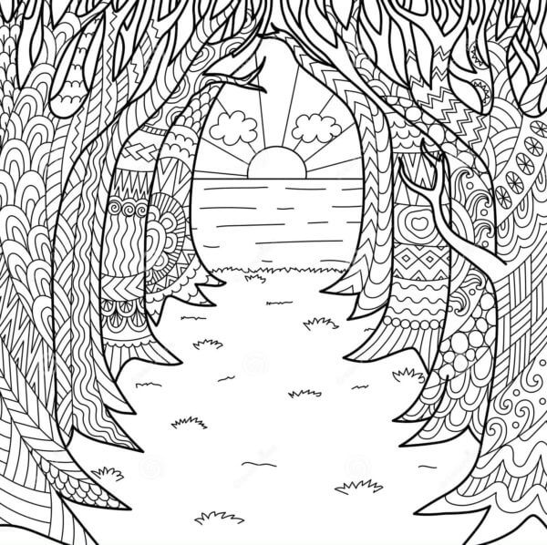 Trees In The Golden Rays of The Setting Sun coloring page