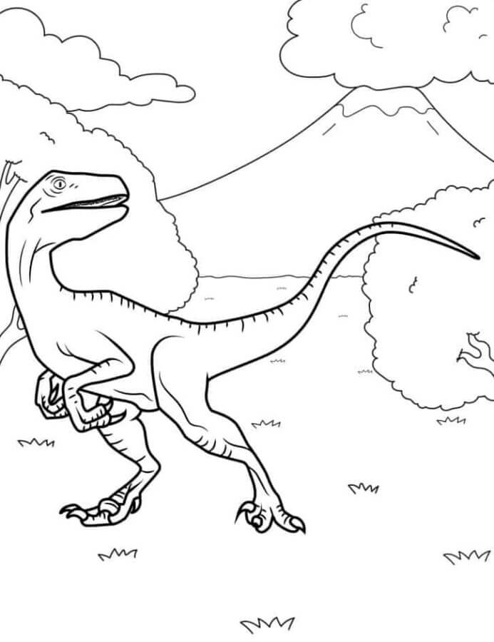 Velociraptor 12