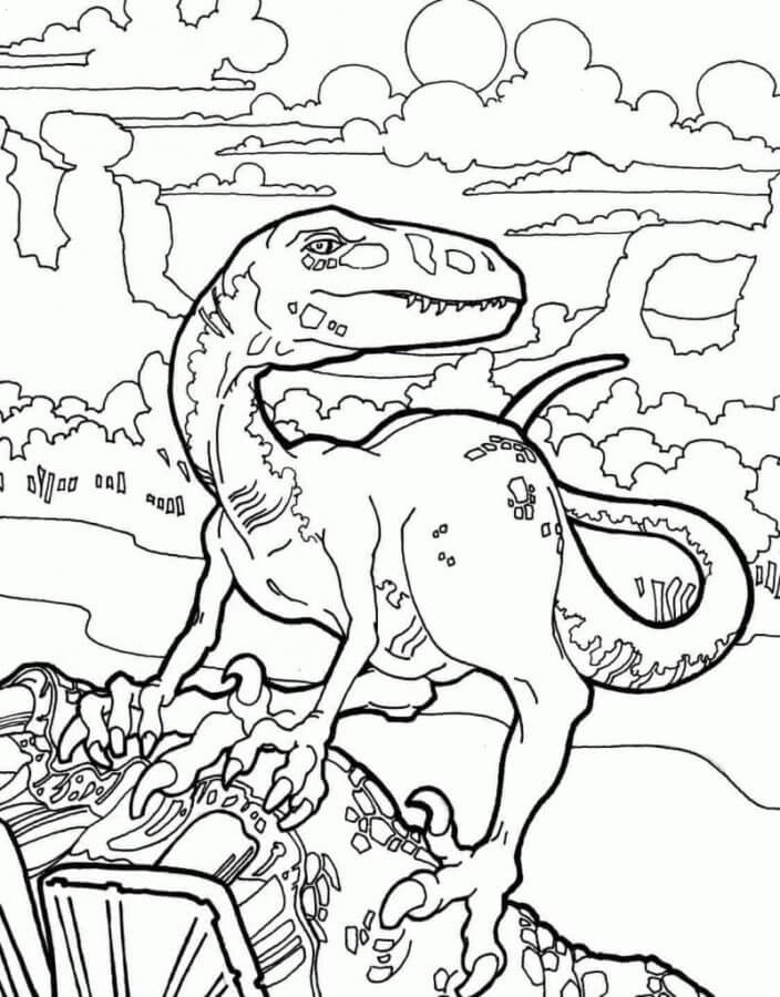 Velociraptor Climbed Up The Rock coloring page