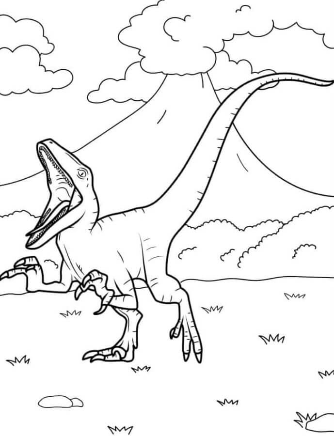 Velociraptor Free Pictures coloring page