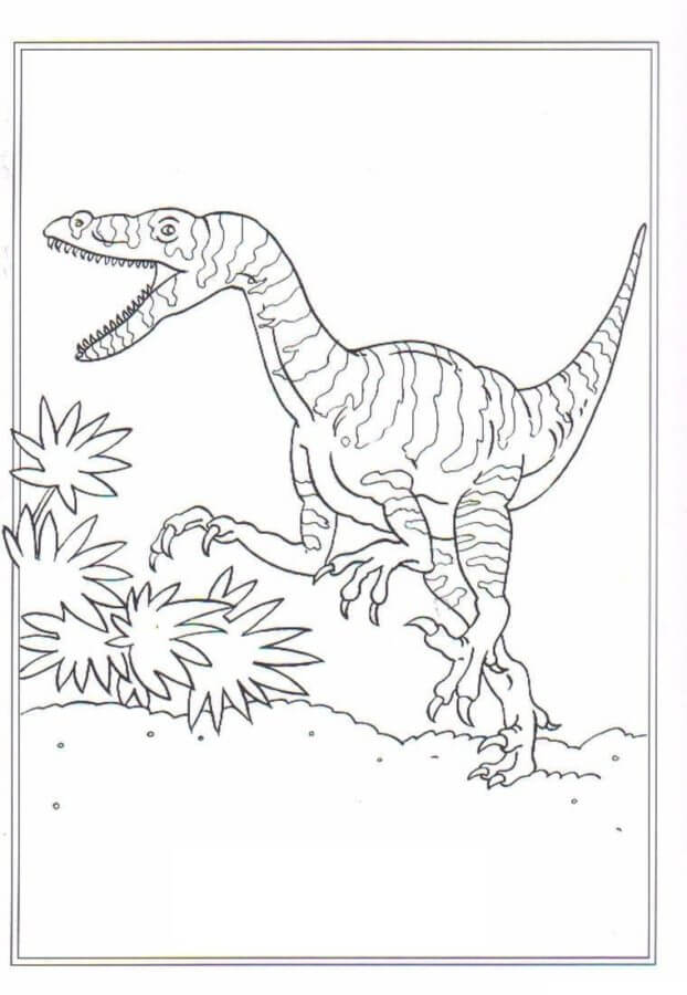 Velociraptor Running