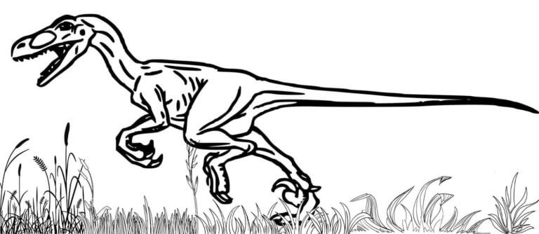 Velociraptor Runs Across The Field coloring page