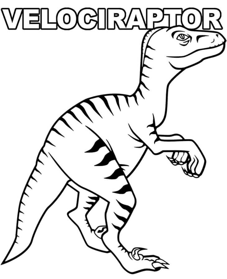 Velociraptor Standing