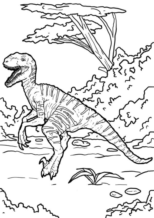 Velociraptor on The Hunt coloring page - Download, Print or Color ...