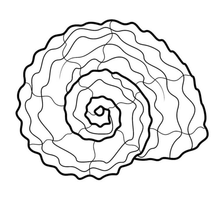 Weird Seashell coloring page