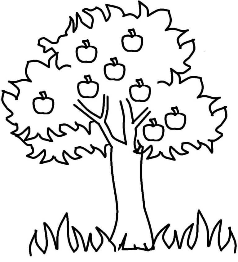 A Beautiful Apple coloring page