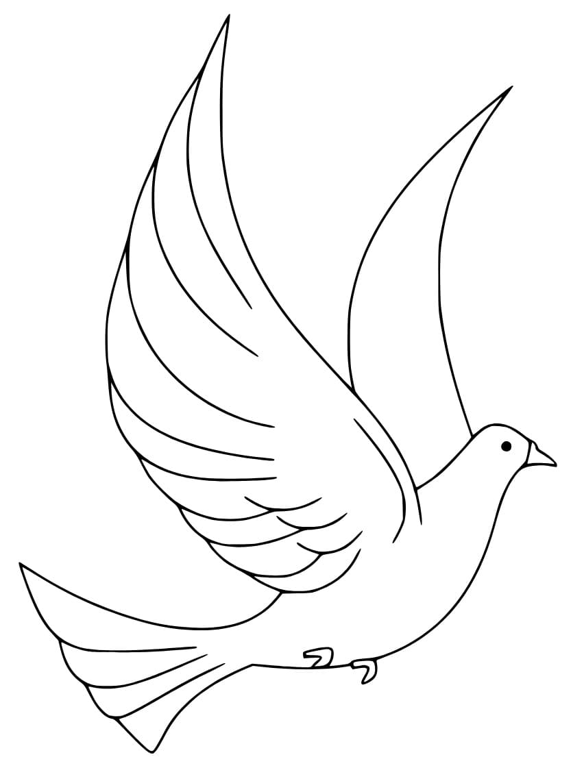 A Beautiful Pigeon coloring page