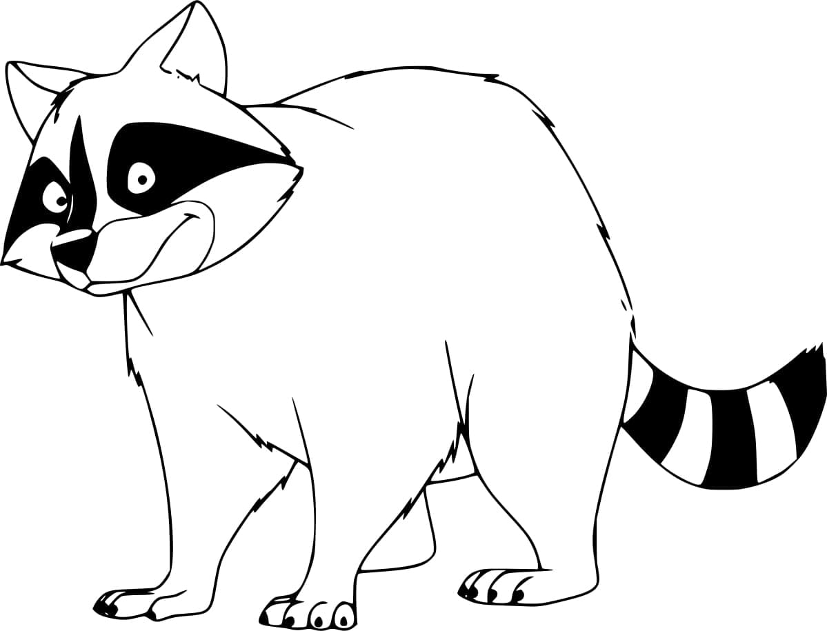 A Cartoon Raccoon coloring page