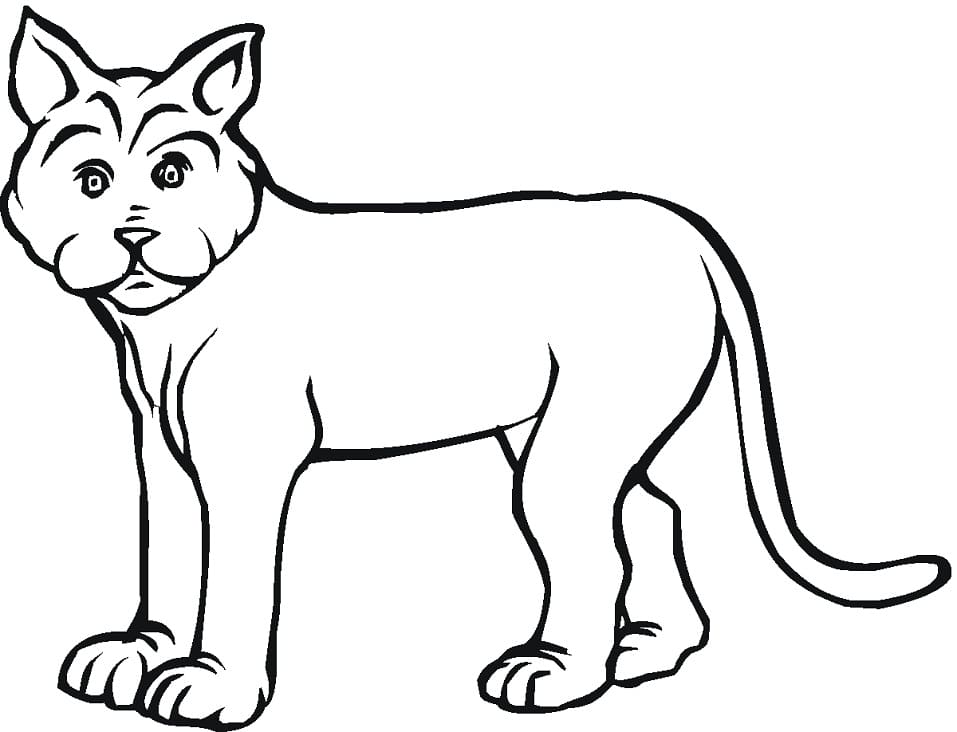 A Funny Lynx coloring page