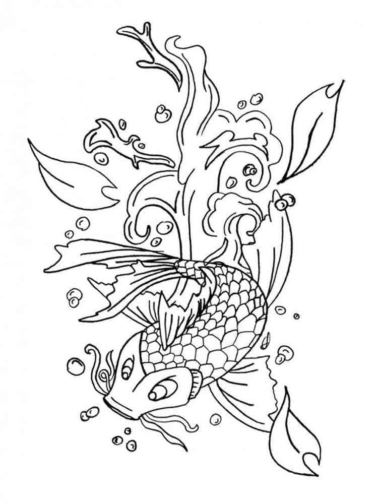 A Koi Fish