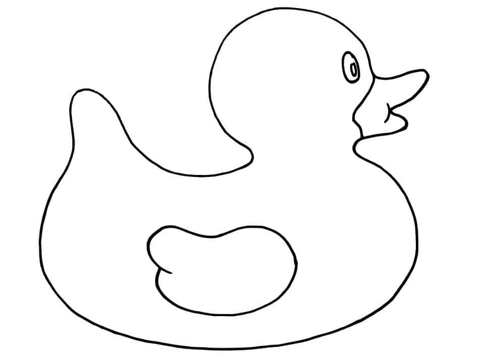 A Rubber Duck