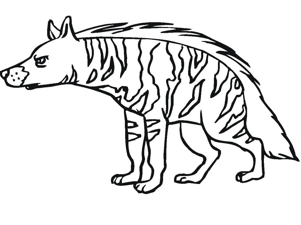 A Striped Hyena coloring page