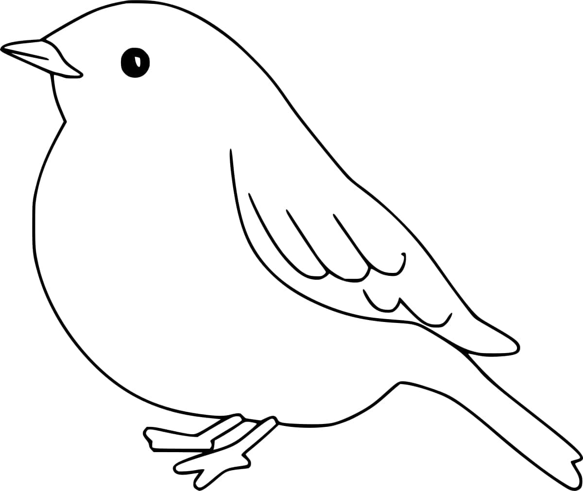 Adorable Robin Bird coloring page - Download, Print or Color Online for ...
