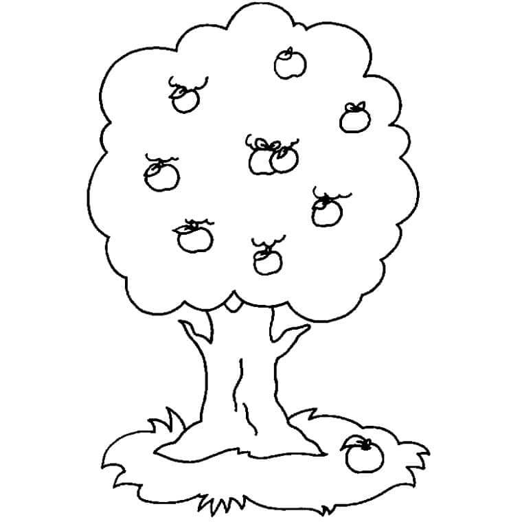 Apples Fall From The Tree coloring page