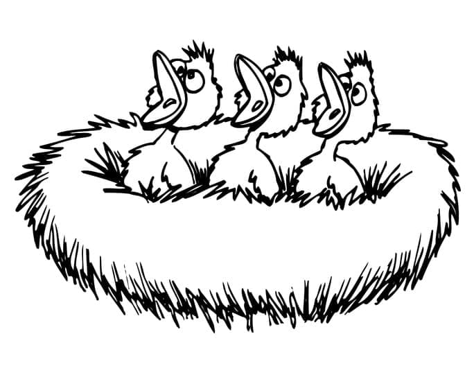 Baby Birds in Nest coloring page