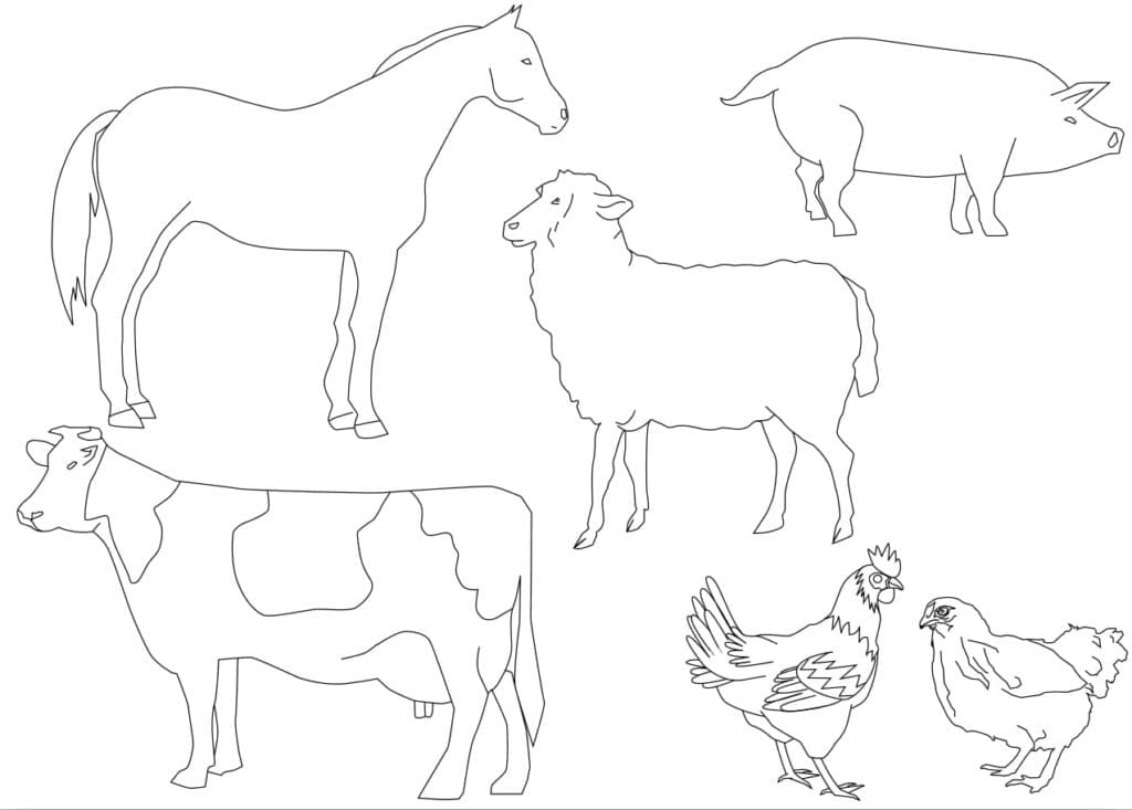 Basic Farm Animals coloring page