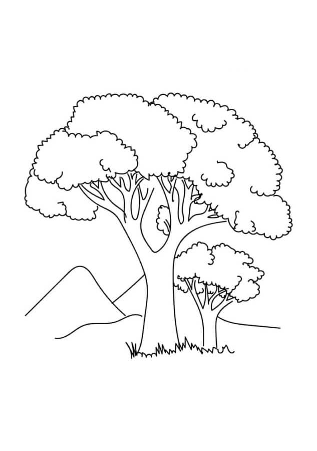 Basic Two Trees