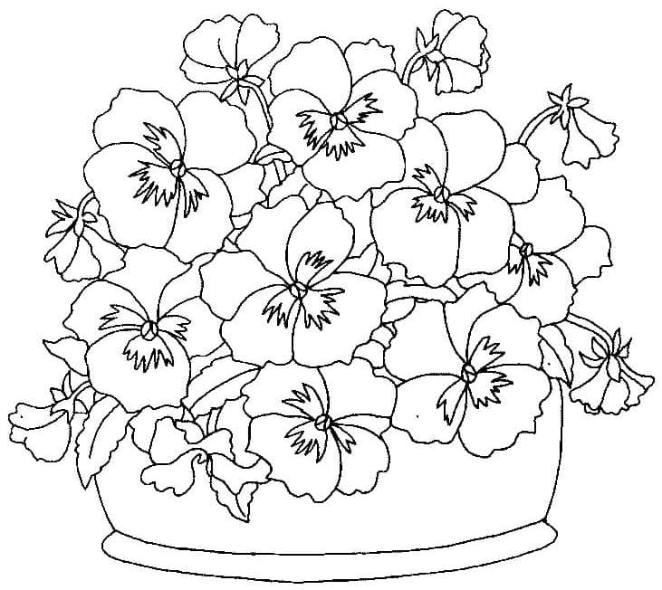 Basket of Pansies