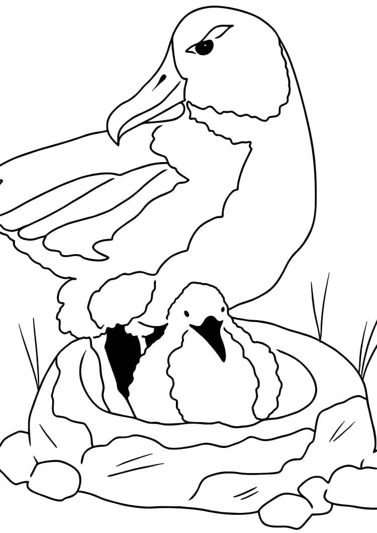 Bird Nest For Free coloring page