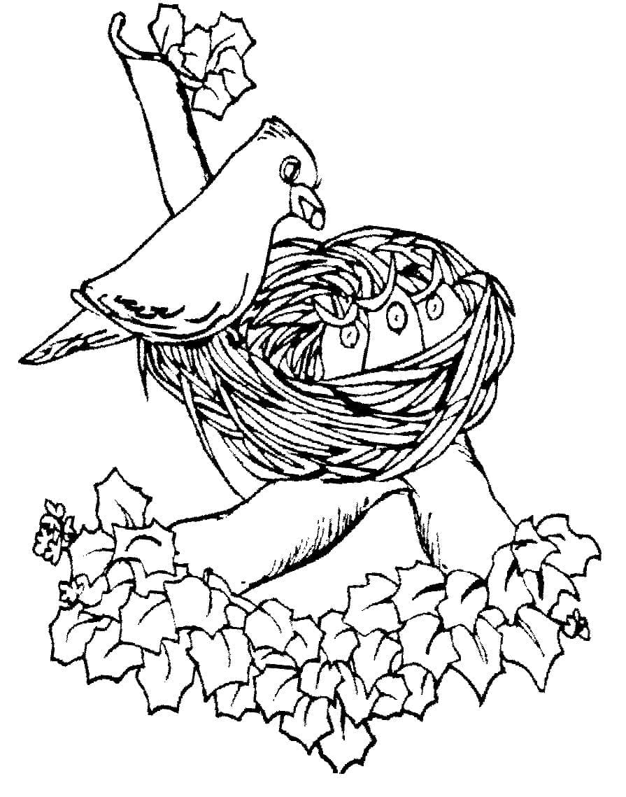 Bird Nest Free coloring page