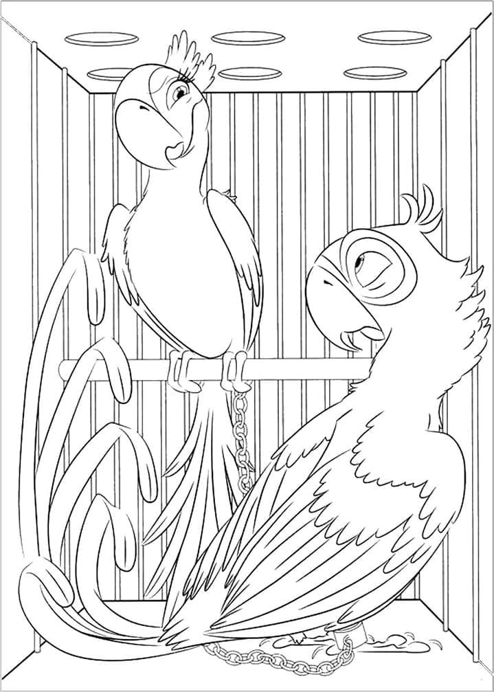 Blu and Jewel from Rio coloring page