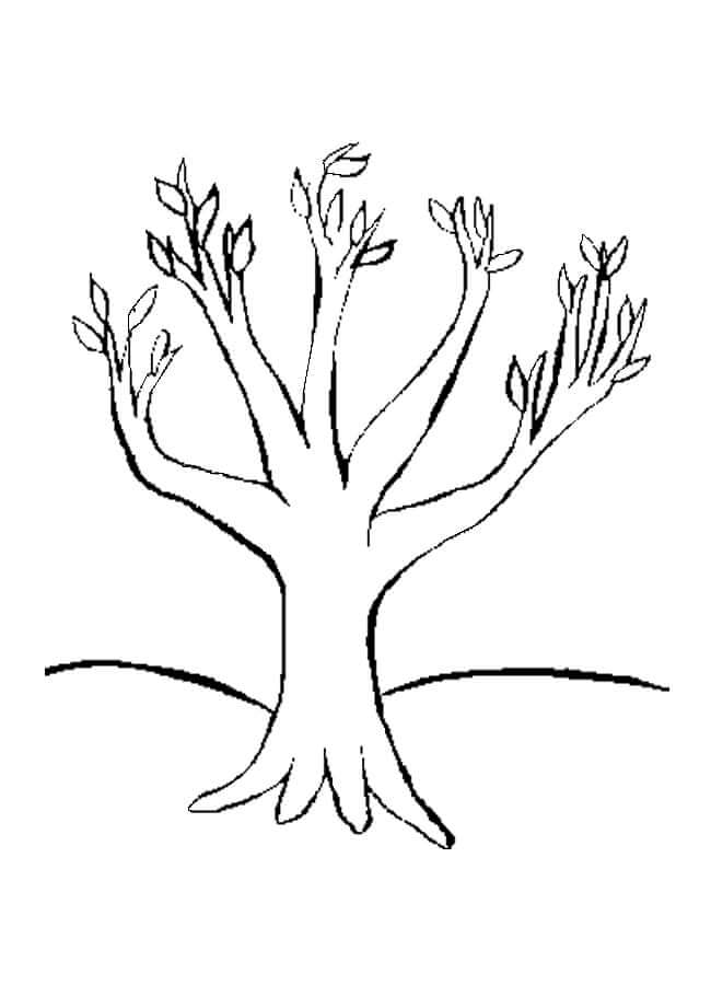 Buds Open On The Tree coloring page