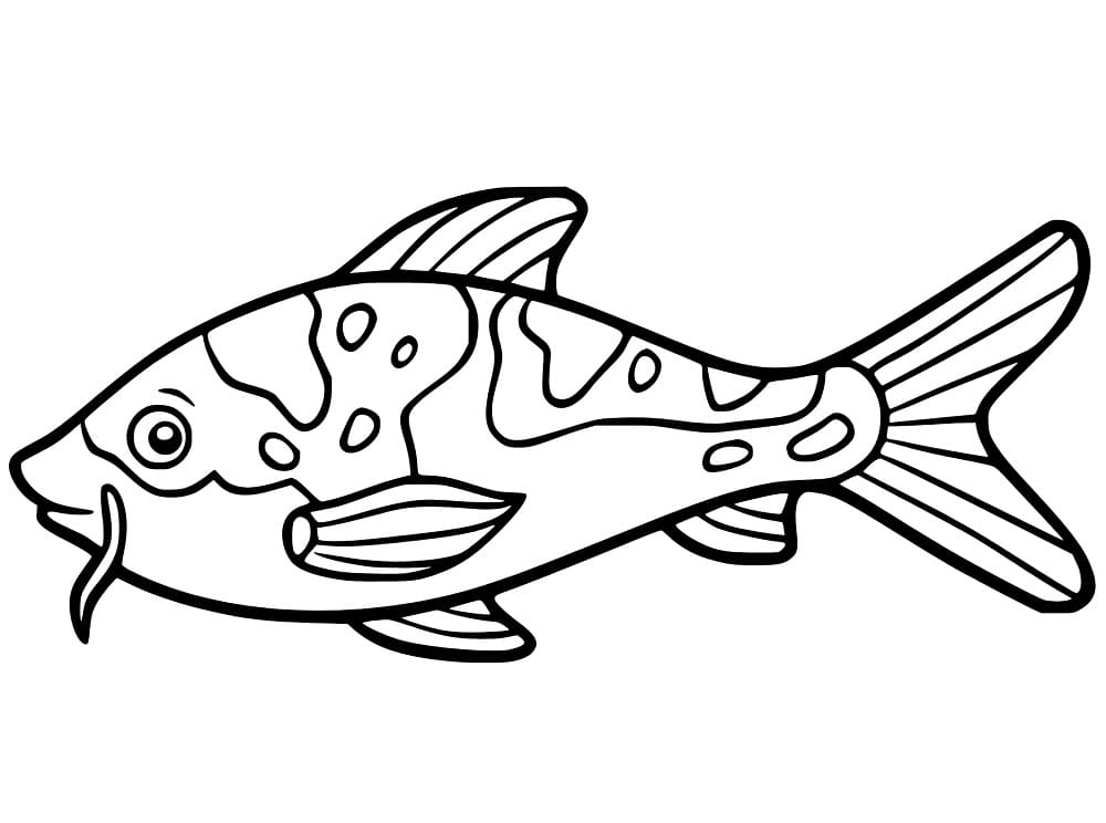 Cartoon Koi Fish coloring page - Download, Print or Color Online for Free