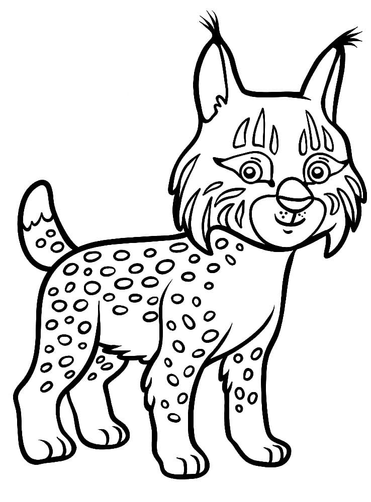 Cartoon Lynx