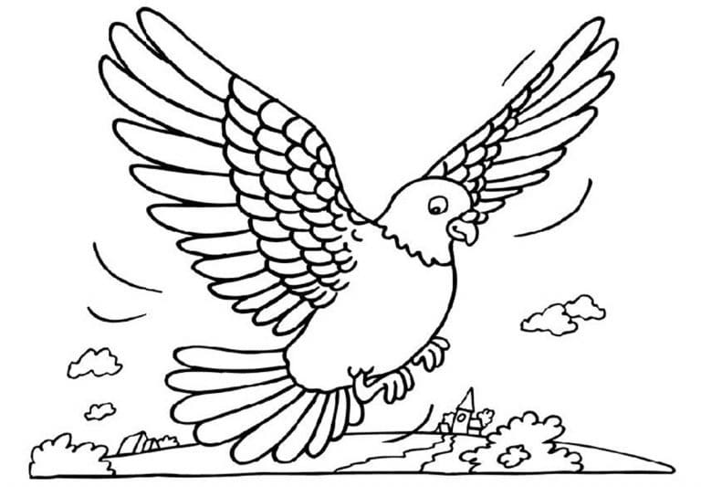 Cartoon Pigeon coloring page