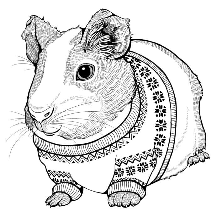 I Love Guinea Pig Coloring Book: An Adult Coloring Pages with