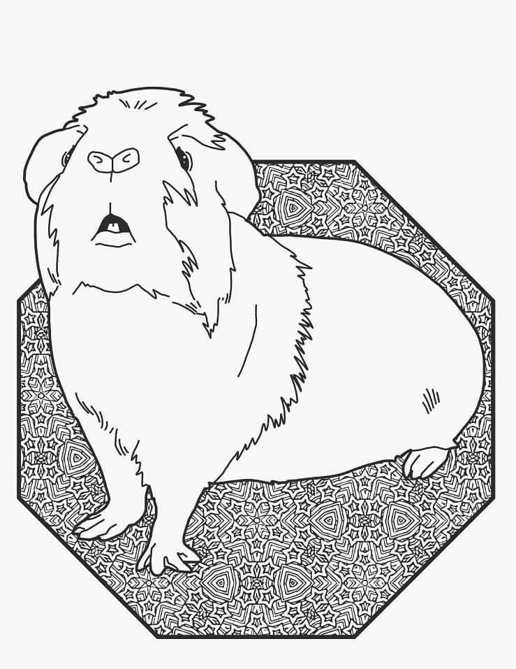 Curious Guinea Pig coloring page