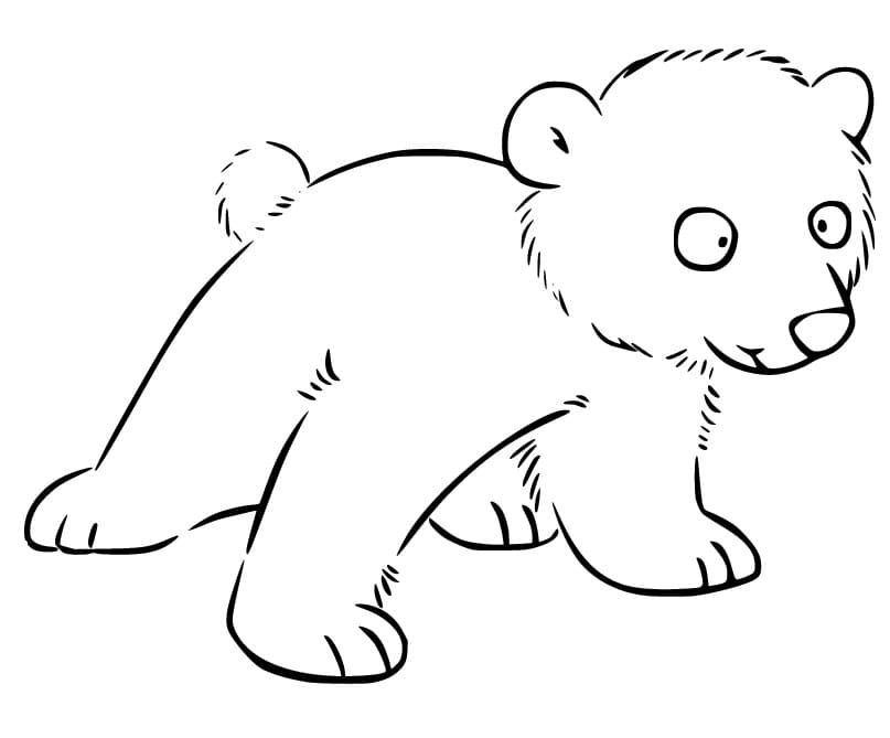 Curious Polar Bear coloring page