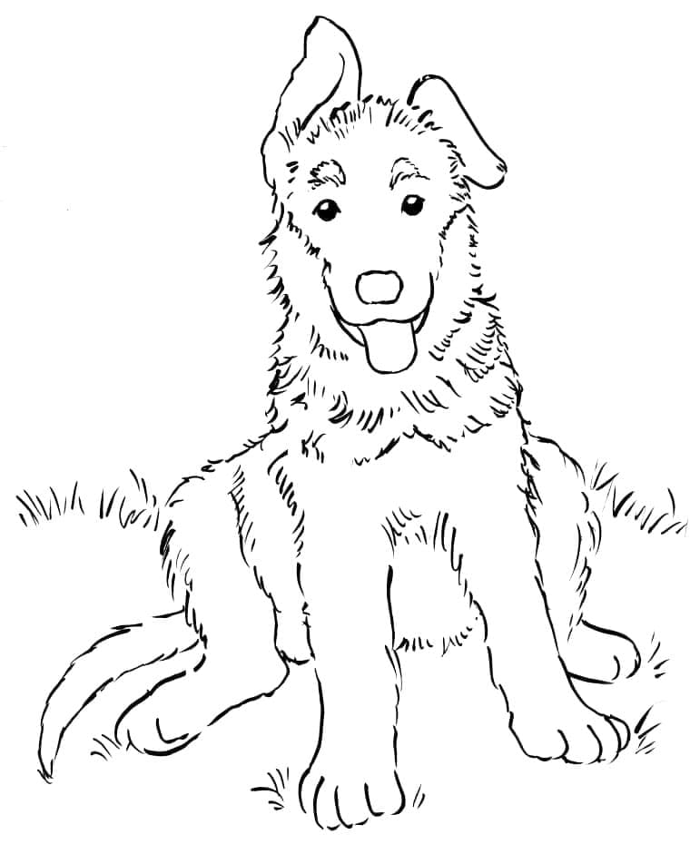 Cute German Shepherd