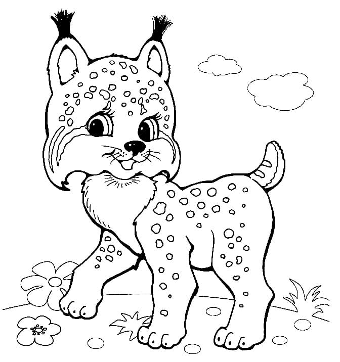 Cute Lynx coloring page