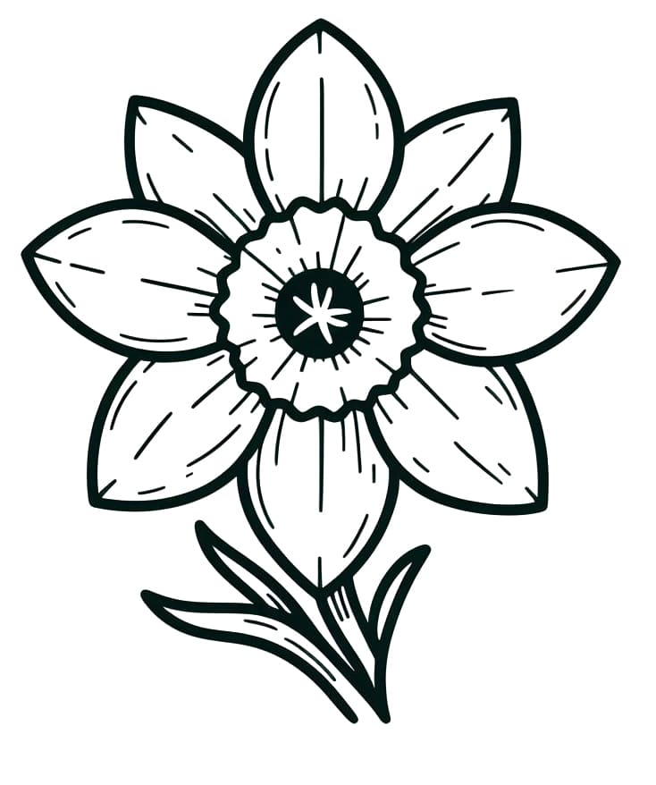 Daffodil Flower Image coloring page