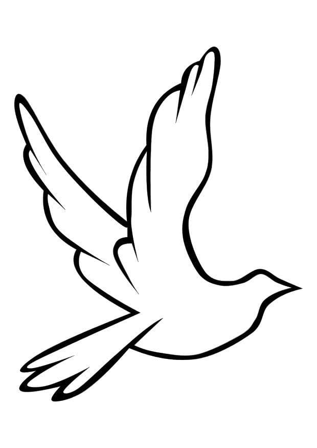 Dove Line Art