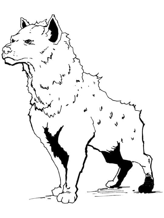 Drawing of Hyena coloring page