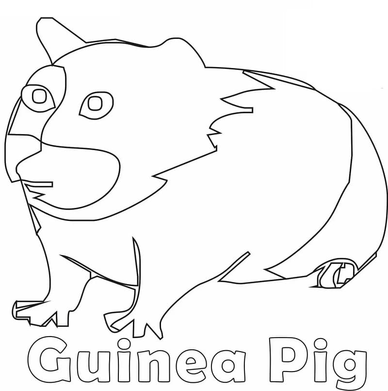 Easy Guinea Pig coloring page